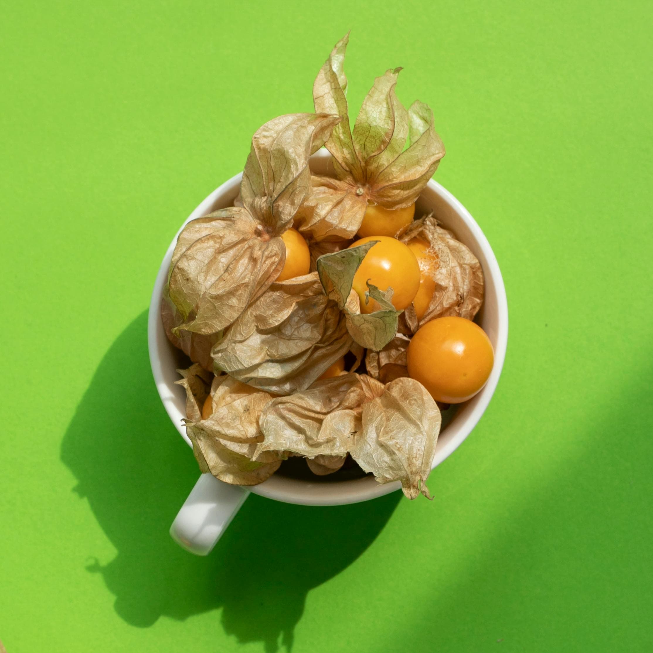 Hand-thrown Mug #348